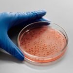 Difference Between Viral and Bacterial Infections